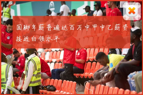 国脚年薪普遍达百万中甲中乙薪资接近白领水平