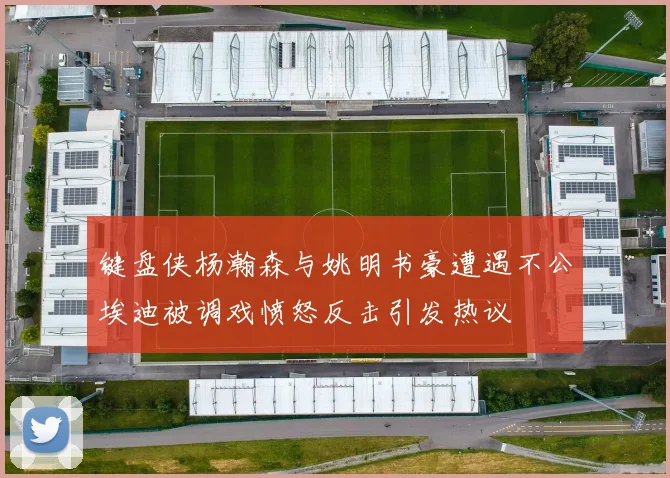 键盘侠杨瀚森与姚明书豪遭遇不公埃迪被调戏愤怒反击引发热议