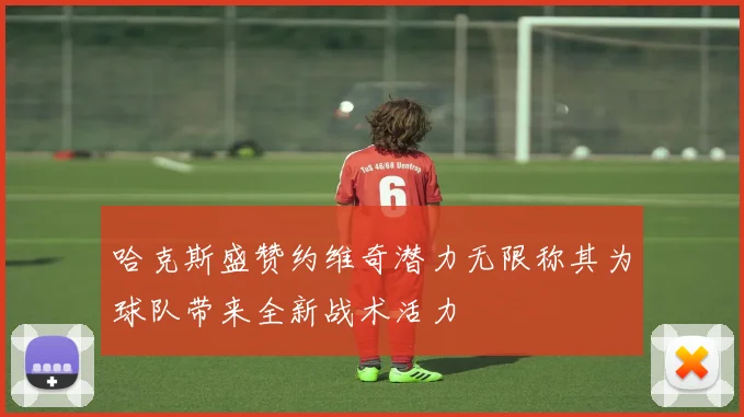 哈克斯盛赞约维奇潜力无限称其为球队带来全新战术活力