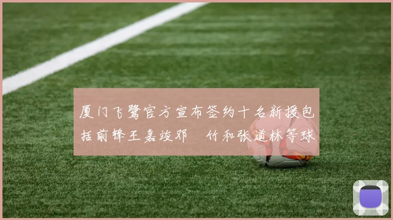 厦门飞鹭官方宣布签约十名新援包括前锋王嘉竣邓棽竹和张道林等球员
