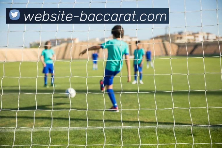 百家乐网站平台生态图